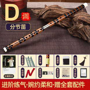 湛文兵古典专业演出苦竹笛子初学成人零基础乐器精制GF调横笛儿童