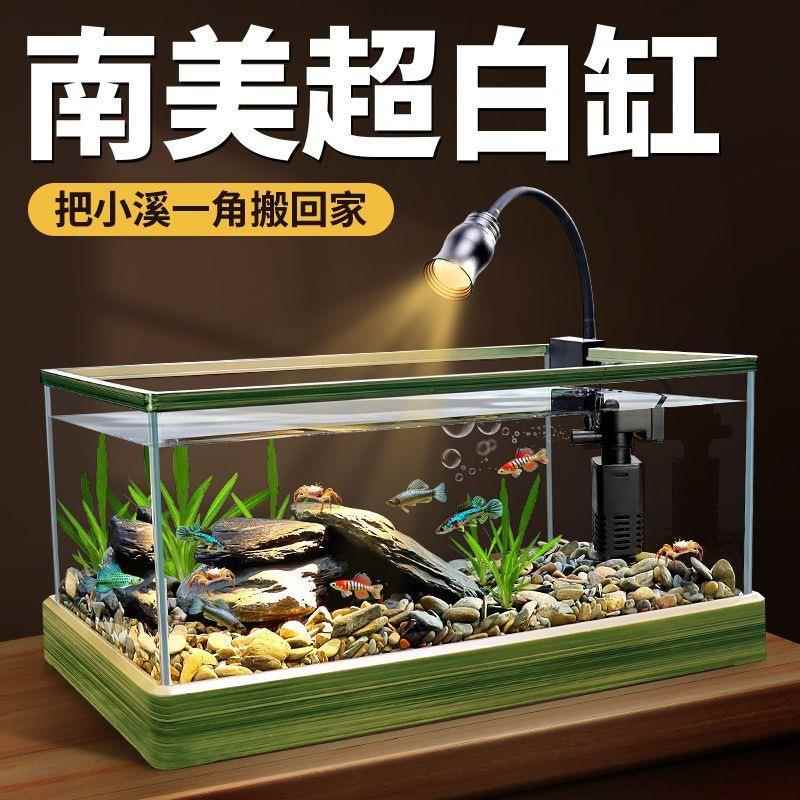 溪流缸金鱼缸阳台客厅沉浸式养鱼底部排水户外自然景观生态缸