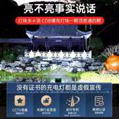 户外露营灯夜摆市充电摊灯摊支架应灯真亮彩超长续航地照明灯停电