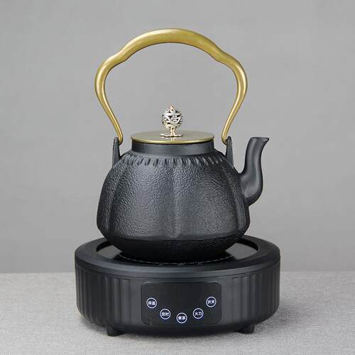 经日式铸铁瓶GYP手工壶煮水泡茶铁茶软壶新典中式茶室装居家茶具