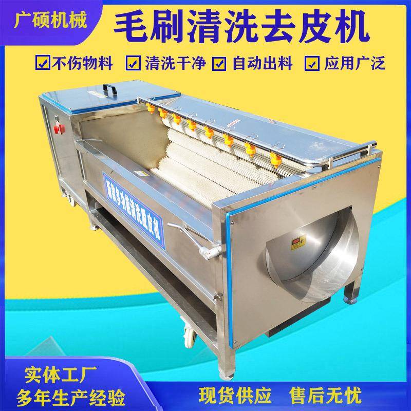 商用毛刷土豆清洗机红薯西洋参黄精清洗去皮设备全自动洗药机