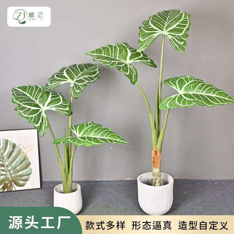 仿真绿植大叶帝王花烛家居客厅商场大型落地装饰植物盆景摆件树