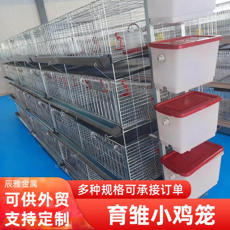 养殖场用育雏笼小鸡笼小层叠养鸡笼农用鸡舍养殖畜牧带托粪盘水箱