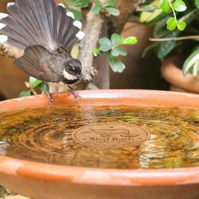 Bird Bath Copper Disk 0.8mm Thick Copper Bird Bath