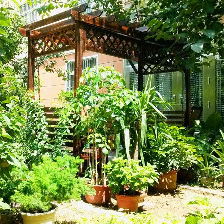 新款直销户外防腐木葡萄架木屋凉亭实木庭院休闲桌椅户外家具爬藤