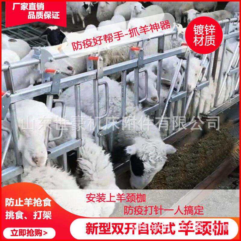 羊颈枷双开3米7位8位9位羊场防疫定位栏热镀锌管羊颈夹自锁式