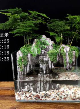 yut大鱼缸流水造景全套生态微景观小型桌面装饰真植物水陆缸山水