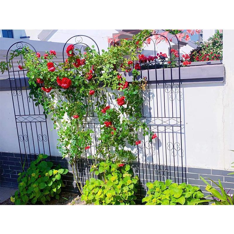 跨境批发金属简约铁线月季花架