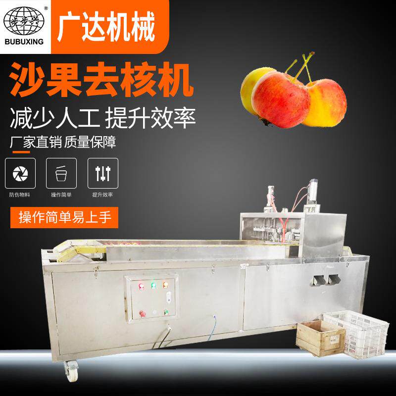 多功能全自动沙果去核切片切瓣机304不锈钢专业去核设备厂家直销