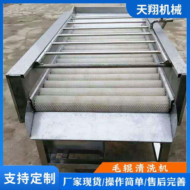 蛤利扇贝毛辊清洗机土豆红薯清洗设备山药萝卜毛辊清洗机