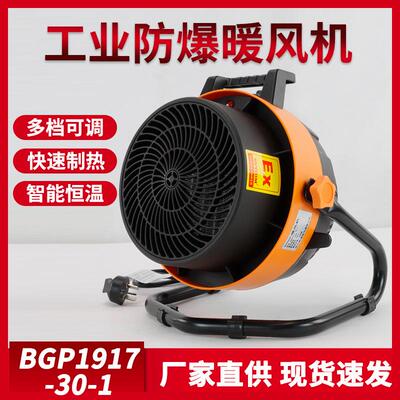 厂家直销便携式多档可调工业防爆暖风机工业散热风扇BGP1917-30-1