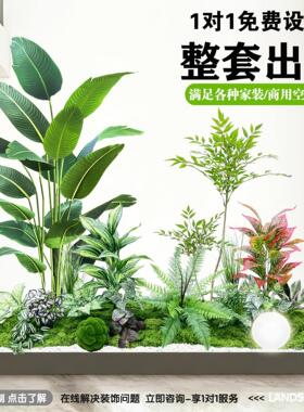 仿真植物造景盆景套装客厅装饰绿植组合橱窗装饰风家居摆件氛围树