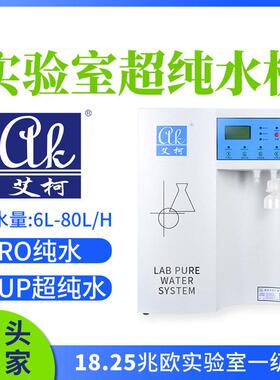半导体检测实验室专用超纯水机 6L-80L/H 一级水实验室超纯水设备