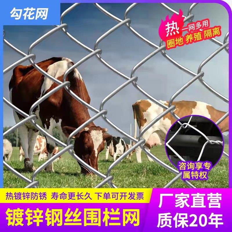 热浸镀锌铁丝勾花网养殖鸡鸭围栏网拦牛羊果园围网菱形网隔离防护