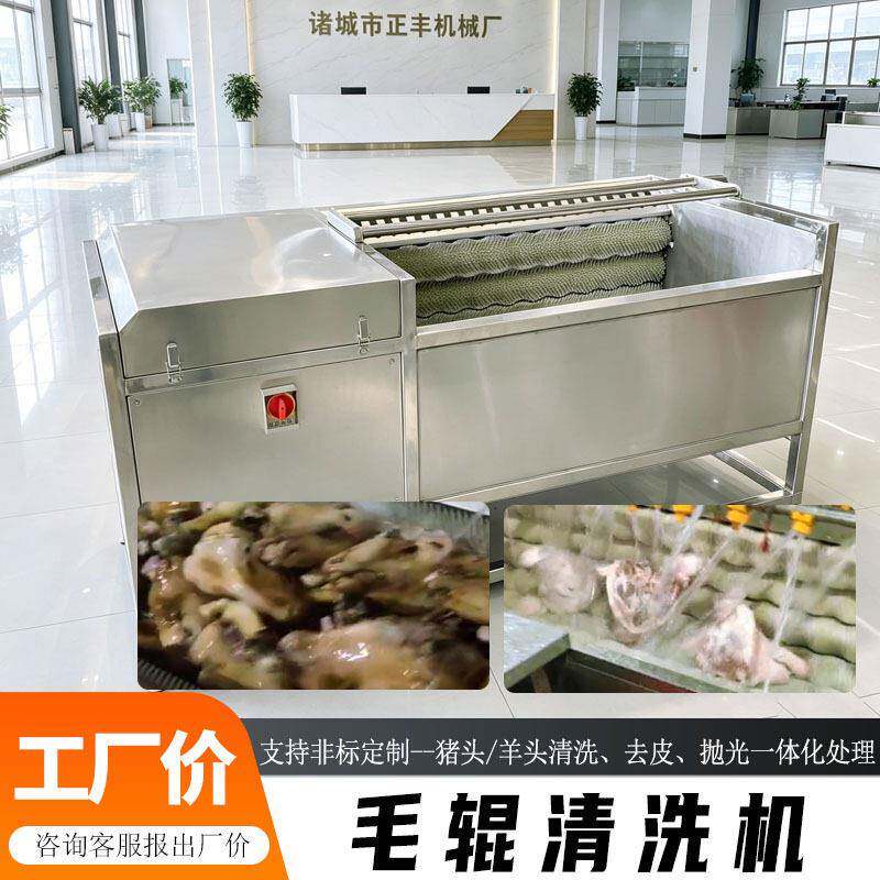 毛辊毛刷清洗机猪耳朵/羊头清洗去渣抛光机食品厂肉类加工设备
