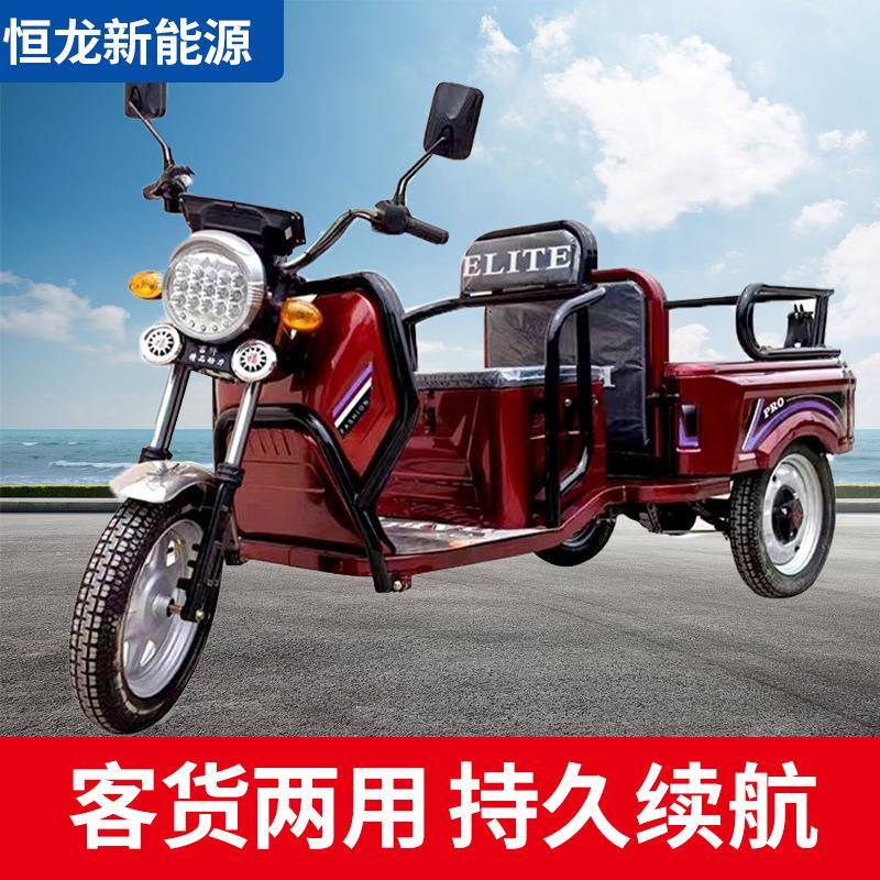 载货载人两用电动车代步家用接送孩子老人出行三蹦子三轮车