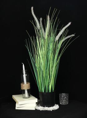 仿真单支苇洋葱草假草装居家H250131庭院饰园林景观芦绿植仿真绿