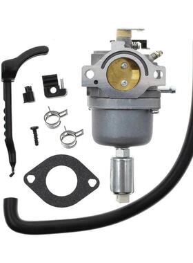 799727化油器698620 690194 791886 799727 496796 499153 695412
