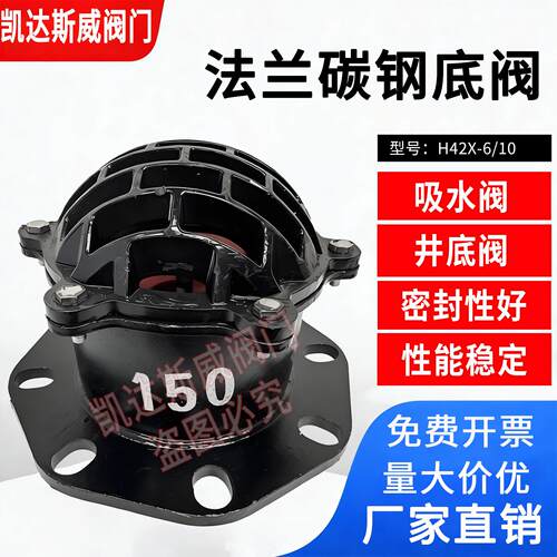 H42X-6法兰底阀 单向阀止回阀 铸铁水泵底阀DN50 80 100 150 200