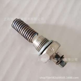 BERU-GH116-0102022202(116S)12V电极头|德国贝鲁电热塞