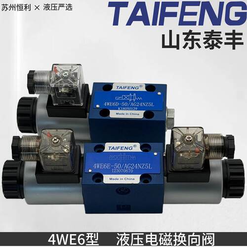 4WE6D/6E/6J/6H/6G/6Y/6M-50/AG24NZ5L AW220NZ4山东泰丰TAIFENG