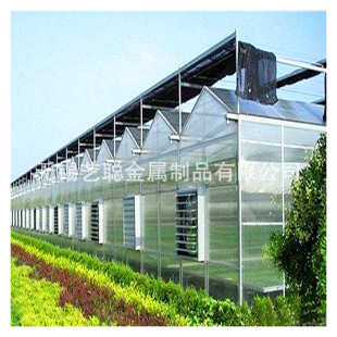玻璃温室大棚设计智能温室大棚玻璃农业观光大棚花卉种殖展厅暖棚