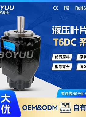 T6DC-038-022-1R03-B1叶片泵用于船舶设备石油设备质量有保障