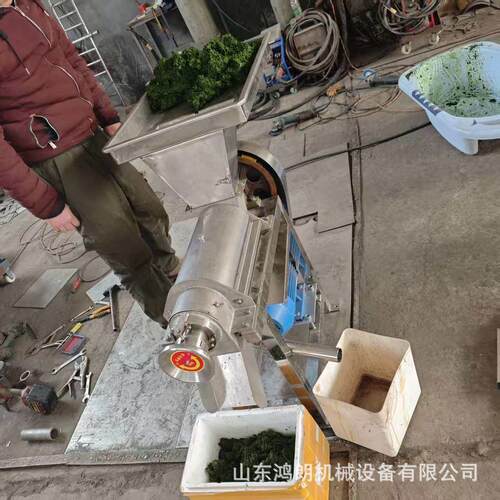 不锈钢胡萝卜挤压榨汁机 时产500公斤柠檬挤压打汁机 苹果梨子