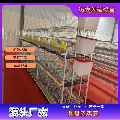 粪盘肉鸡笼镀锌工艺耐用耐腐蚀成本低应用范围广