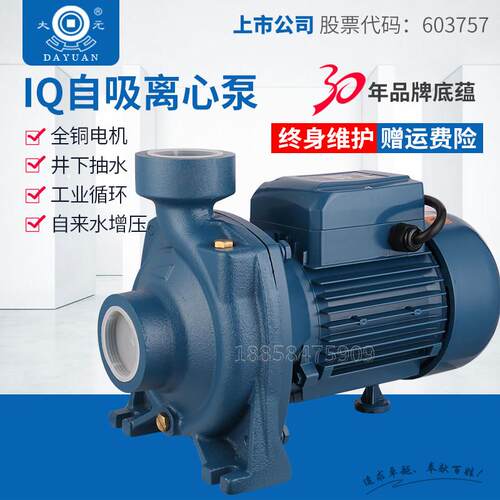 大元IQ离心泵大流量工业节能循环帮浦农用灌溉抽水泵家用管道增压