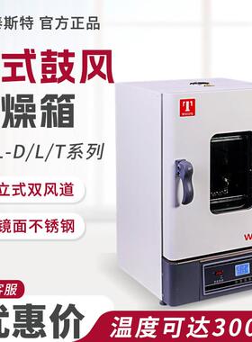 天津市泰斯特WGL-30D/45D/65D/125D实验室烘箱立式鼓风干燥箱