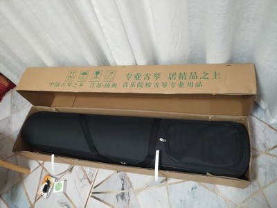 南雁古琴怎么样坑不坑呢？真实经历讲讲
