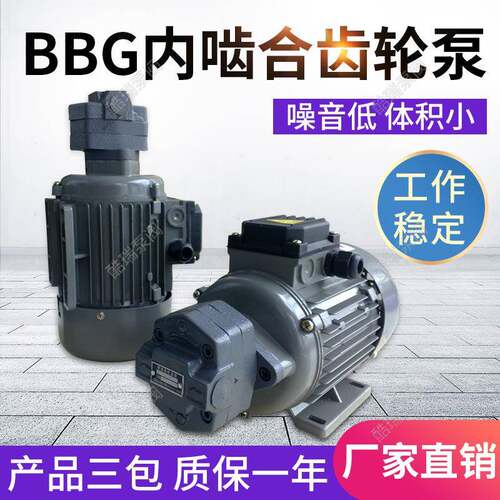 上海BBG摆线油泵内啮合齿轮泵铸铁防爆摆线齿轮油泵