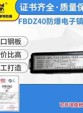 FBDZ40-1 2L防爆电子镇流器 上海新黎明防爆洁净灯所配