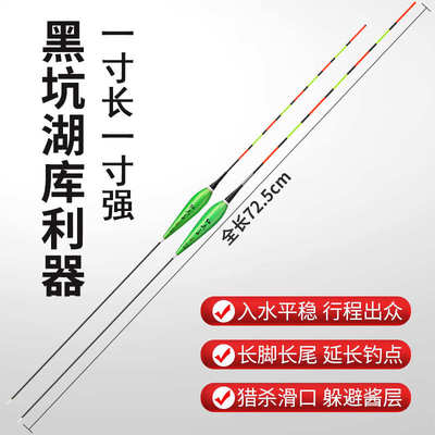 鲢鳙大物夜光行程漂日夜两用夜光漂加长硬尾滑漂远投大物夜光鱼漂