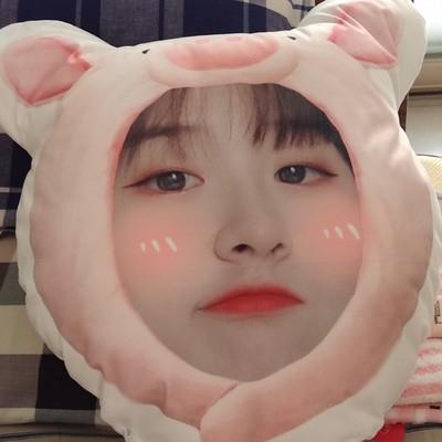 高档真人照片定制礼人脸娃娃玩偶枕男生女朋友头像抱双面毛绒公仔