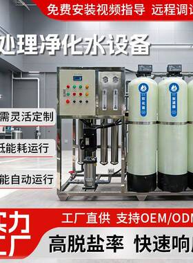2吨反渗透纯水处理设备商用直饮水机食品饮料水净化系统全自动