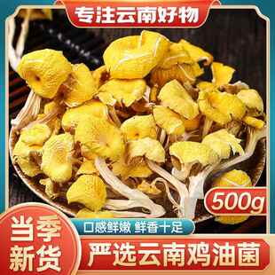 .鸡油菌干货云南野生菌类特产店新鲜干黄丝菌黄金菇榆黄菇煲汤食