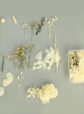 1 Box Colorful Natural Pressed Dried Flowers For Epoxy