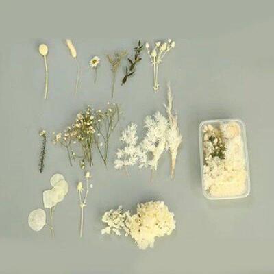 1 Box Colorful Natural Pressed Dried Flowers For Epoxy