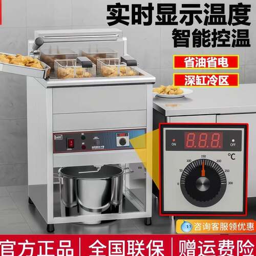 立式电炸炉商用大容量炸鸡排机器双缸恒温油条机炸串机电热油炸锅