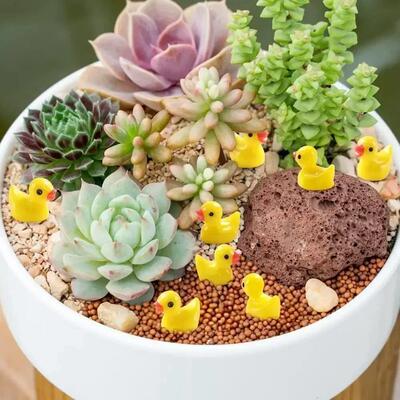 100Pcs/set Mini Resin Ducks Tiny Duck Miniature