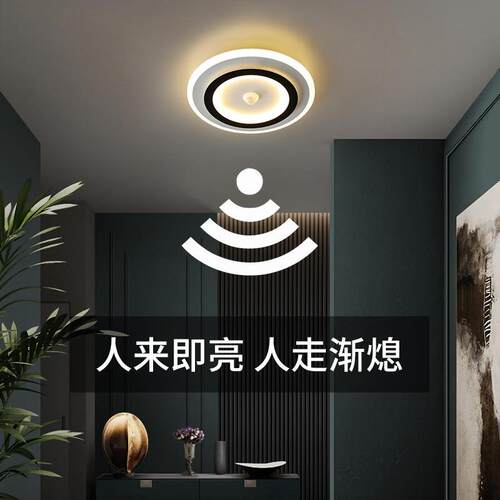新款过道走廊灯入户厅吸顶灯圆形人体雷达感应灯极简衣帽灯