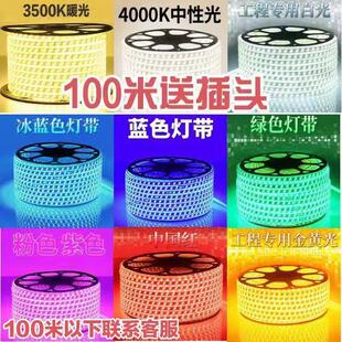 220v超亮5730双排工程家用商用户外绿化养殖防水软灯带条led灯带