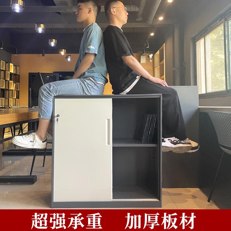 皮件柜档案柜小型开矮柜办公室落铁文地柜储对物柜工具柜ZYD-DXX9