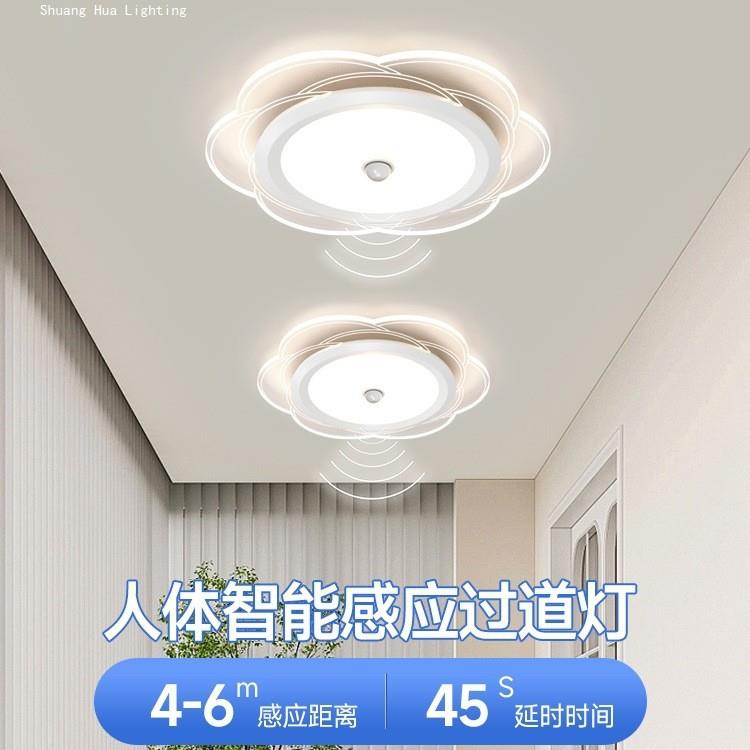 极简走廊过道人体感应吸顶灯现代楼道楼梯温馨花朵灯具2025年新款