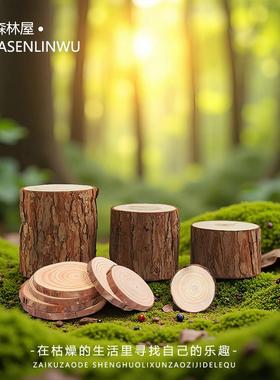 苔藓微景观造景装饰品原木头木桩木片小摆件托盘拍摄道具桌面摆件