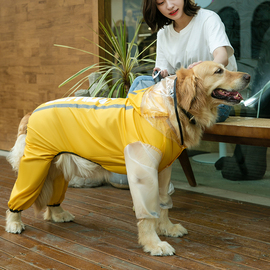 宠物大型犬专用雨衣柠檬冰沙英文大狗雨衣金毛萨摩二哈雨天神器