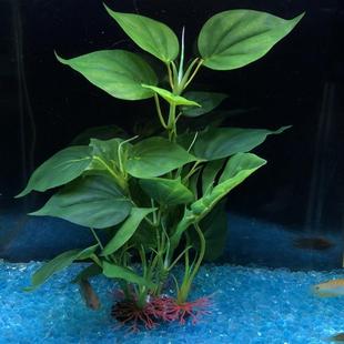 包邮 饰仿真水草逼真大叶草水族箱套餐假塑料草 水榕绢布植物装 B款