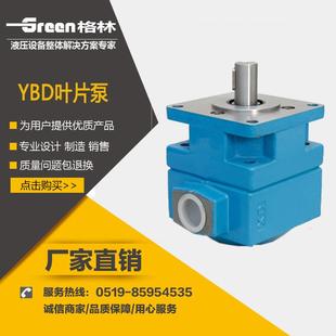 油泵液压泵叶片泵 电动铸铁卧式 液压系统配件 6.3 YBD